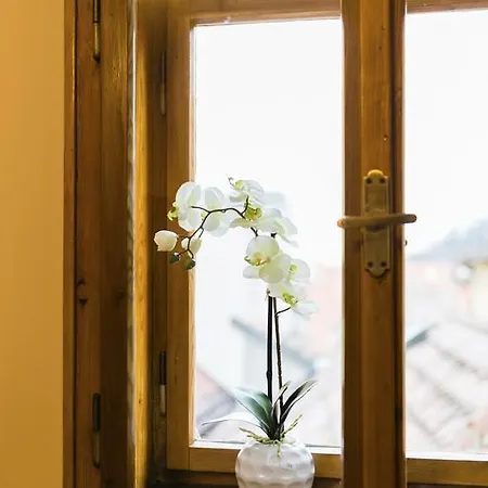 Apartments U Krale Brabantskeho Prague Room photo