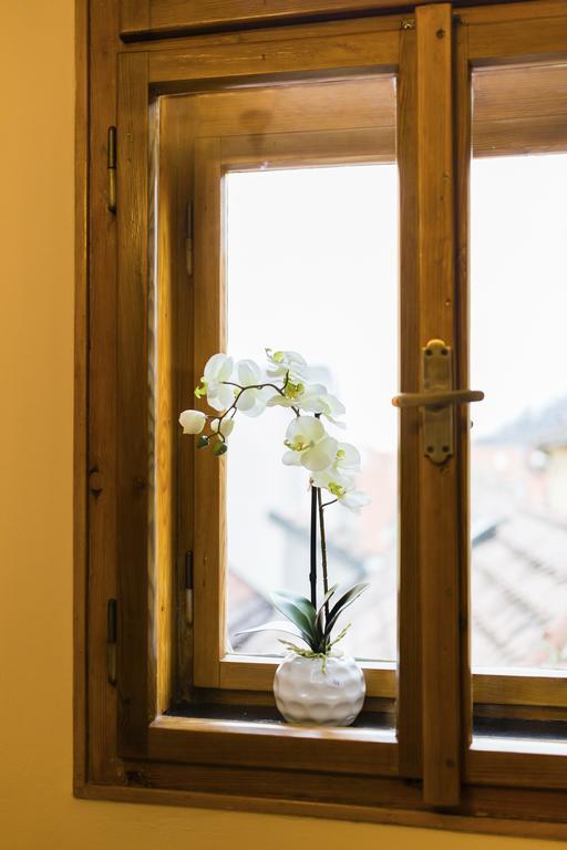 Apartmán U Krále Brabantského